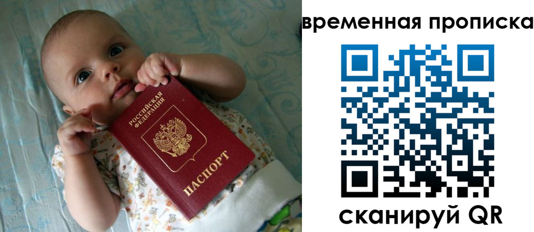 найти адрес прописки в Бийске