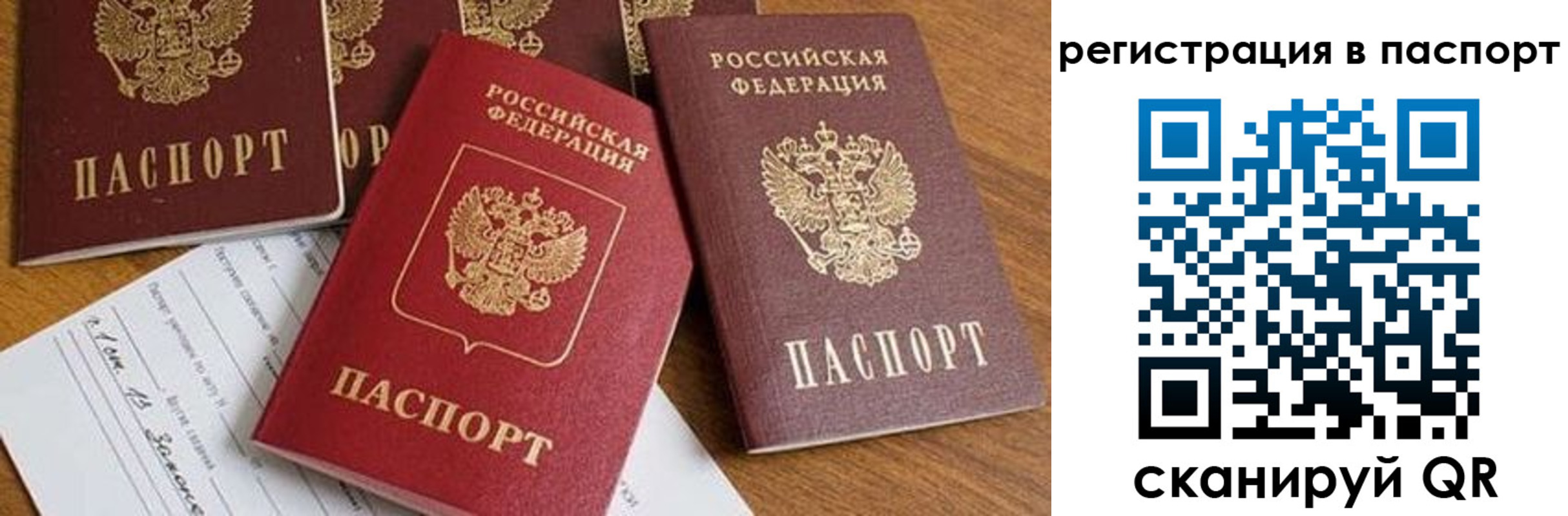 прописка в Бийске